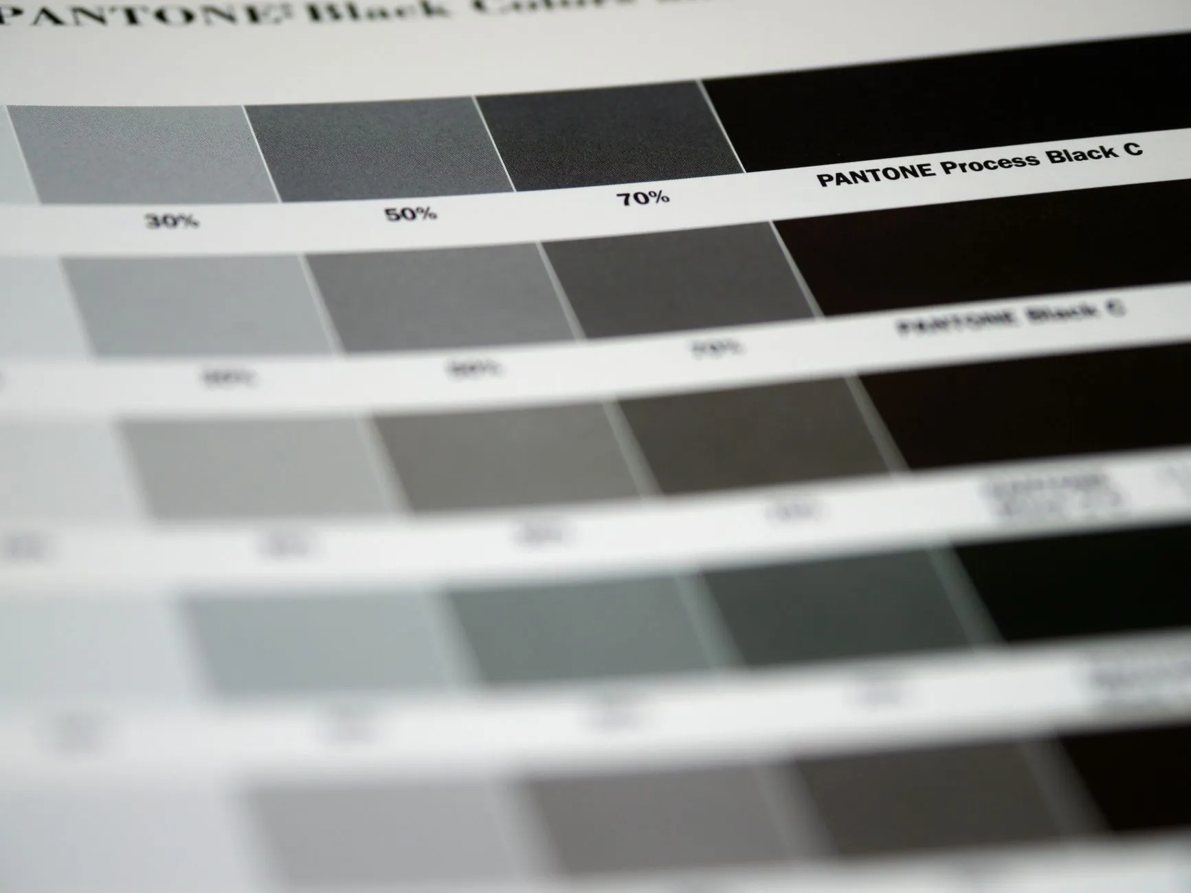2025年海南中小企业宣传物料设计趋势与风格走向分析正文配图 2